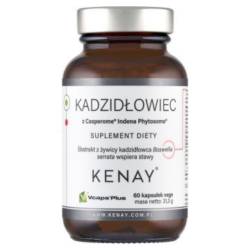 Kadzidlowiec formula Casperome Indena Phytosome, kaps.,60szt
