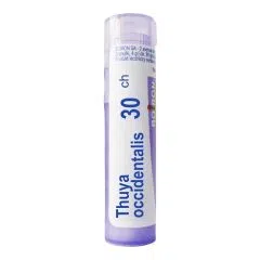 Boiron Thuya occidentalis, 30 CH, granulki, 4 g