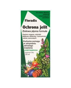 Floradix Ochrona Jelit, płyn, 250 ml